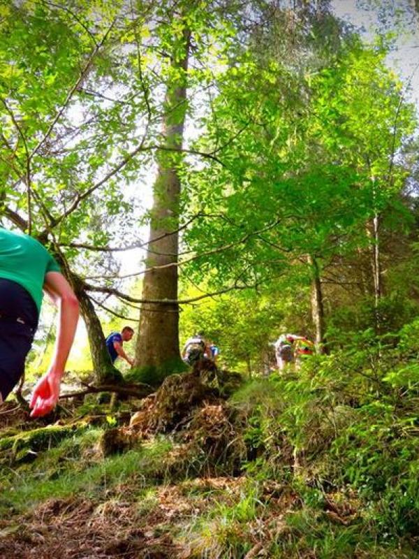 Trail 2017